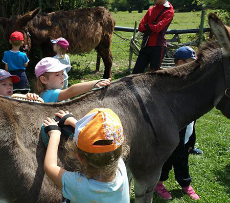 Anniversaire à la ferme à Maubeuge