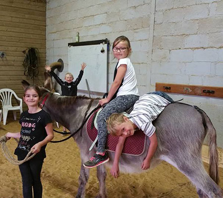 Asino-méditation à Maubeuge