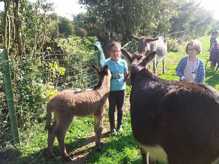 Accueil pédagogique À la Ferme de Noisette à Maubeuge